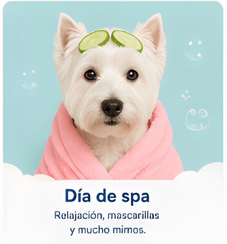 Día de spa — relajación, mascarillas y mucho mimo