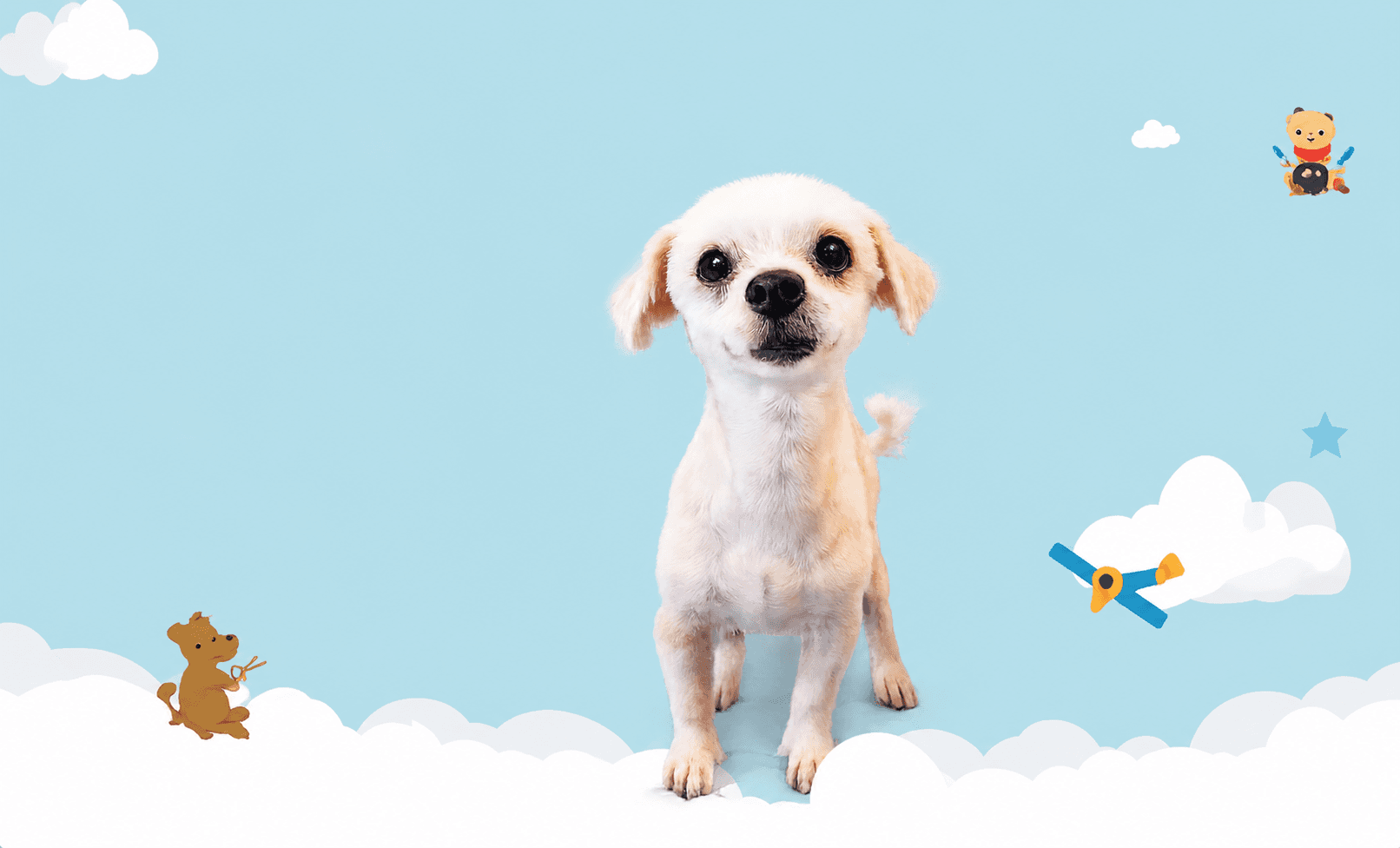 Perro recién peluqueado sentado sobre nubes en un cielo celeste